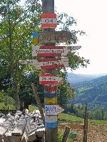 Bild 11 (207 Bildaufrufe)