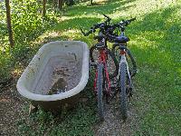Bild 12 (221 Bildaufrufe)