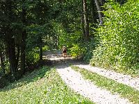 Gsollberg (298 Bildaufrufe)