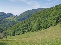 Rote Steinmäuer (232 Bildaufrufe)