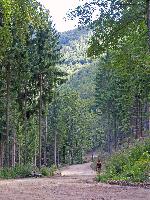 Bild 7 (308 Bildaufrufe)