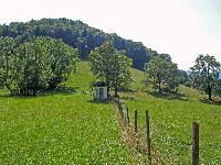 Bild 8 (224 Bildaufrufe)