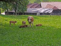 Bild 9 (266 Bildaufrufe)