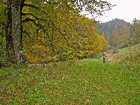 Bild 3 (229 Bildaufrufe)