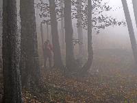 Bild 5 (171 Bildaufrufe)