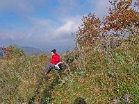 Bild 10 (200 Bildaufrufe)
