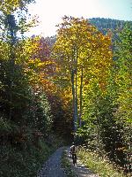 Bild 16 (224 Bildaufrufe)