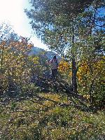 Bild 17 (215 Bildaufrufe)