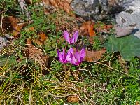 Bild 19 (226 Bildaufrufe)