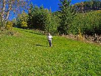 Bild 20 (234 Bildaufrufe)