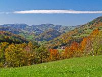 Bild 5 (228 Bildaufrufe)