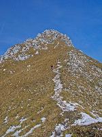Bild 9 (207 Bildaufrufe)