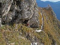 Bild 25 (298 Bildaufrufe)