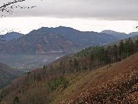 Bild 3 (182 Bildaufrufe)