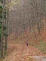 Bild 12 (238 Bildaufrufe)