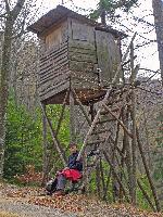 Bild 14 (187 Bildaufrufe)