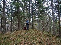 Bild 17 (286 Bildaufrufe)
