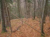 Bild 18 (241 Bildaufrufe)