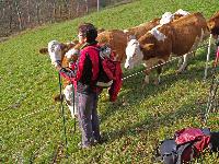Bild 3 (247 Bildaufrufe)