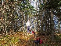 Bild 4 (224 Bildaufrufe)