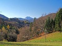 Bild 5 (267 Bildaufrufe)