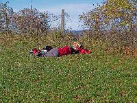 Bild 10 (273 Bildaufrufe)