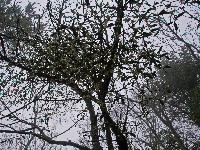 Bild 5 (278 Bildaufrufe)