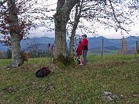Bild 10 (249 Bildaufrufe)
