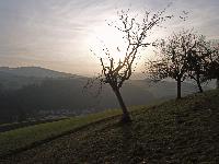Bild 2 (350 Bildaufrufe)