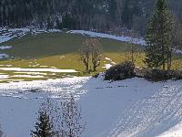 Bild 4 (242 Bildaufrufe)