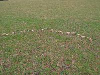 Bild 8 (250 Bildaufrufe)