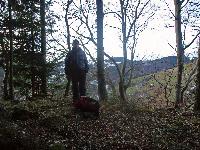 Bild 10 (262 Bildaufrufe)