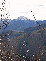 Bichlberg (299 Bildaufrufe)