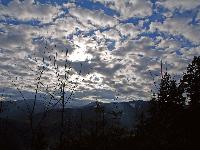 Bild 5 (298 Bildaufrufe)