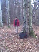 Bretterrieß (281 Bildaufrufe)
