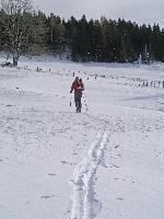 Bild 1 (259 Bildaufrufe)