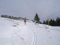 Tirolerkogel (288 Bildaufrufe)