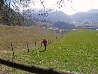 Bild 3 (279 Bildaufrufe)
