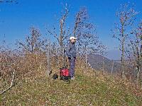 Bild 4 (262 Bildaufrufe)