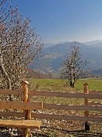 Bild 9 (225 Bildaufrufe)