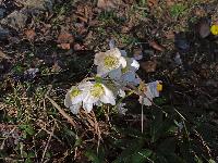 Bild 10 (234 Bildaufrufe)