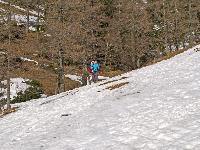 Bild 14 (230 Bildaufrufe)