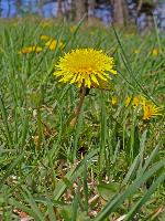 Bild 13 (226 Bildaufrufe)