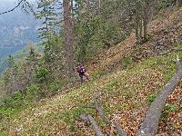 Bild 4 (257 Bildaufrufe)
