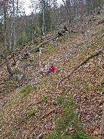 Bild 5 (227 Bildaufrufe)
