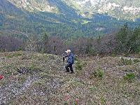 Bild 8 (215 Bildaufrufe)