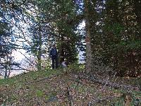 Bild 14 (256 Bildaufrufe)