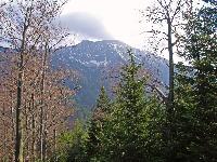 Bild 15 (201 Bildaufrufe)