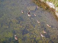 Bild 6 (242 Bildaufrufe)