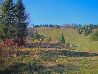Bild 4 (271 Bildaufrufe)